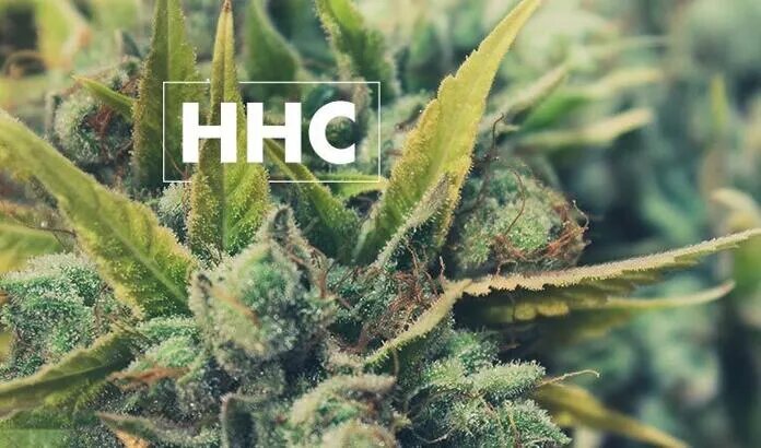 What is HHC?