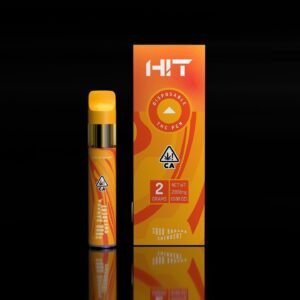 HIT 2g Disposable - Smashed Edibles