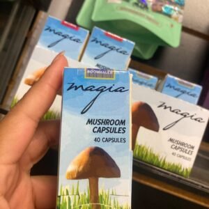 Mushroom capsules - Magic mushroom capsules