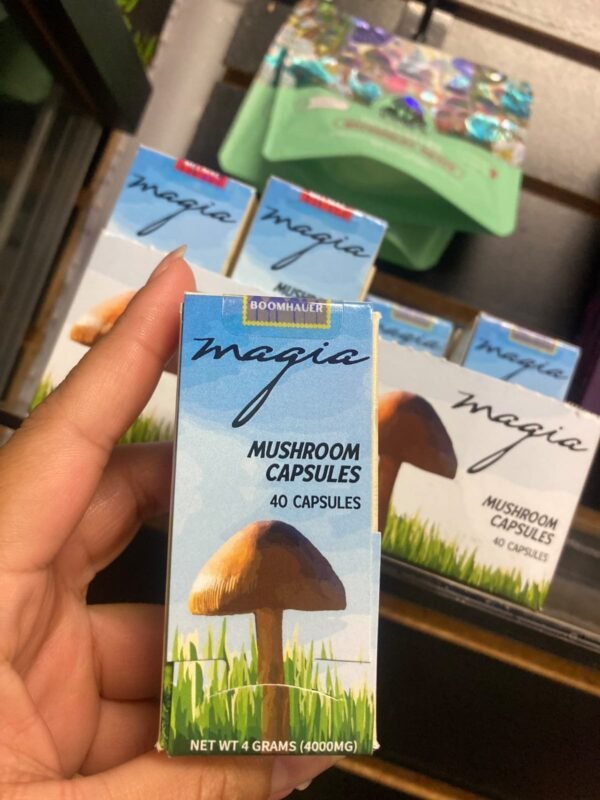 Mushroom capsules - Magic mushroom capsules