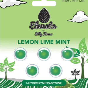 Elevate: Lemon Lime Mint