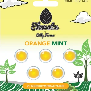 Elevate: Orange Mint